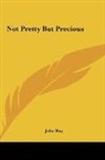 John Hay - Not Pretty But Precious