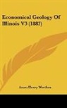 Amos Henry Worthen - Economical Geology Of Illinois V3 (1882)