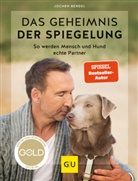 Jochen Bendel - Das Geheimnis der Spiegelung