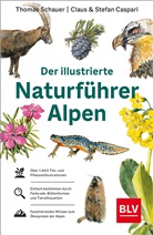 Stefan Caspari, Thoma Schauer, Thomas Schauer - Der illustrierte Naturführer Alpen