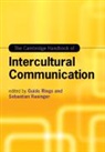 Guido (Anglia Ruskin University Rings, Sebastian Rasinger, Guido Rings - Cambridge Handbook of Intercultural Communication
