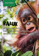 Moni Steiner - Baluk