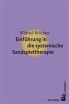 Wiltrud Brächter - Einführung in die systemische Sandspieltherapie