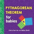 Chris Ferrie - Pythagorean Theorem for Babies