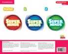Carmen Zavala Iturbe - Super Minds Levels 1–2/Starter Poster Pack British English