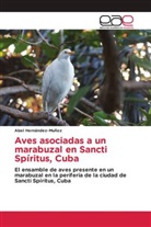 Abel Hernández-Muñoz - Aves asociadas a un marabuzal en Sancti Spíritus, Cuba