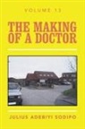 Julius Adebiyi Sodipo - The Making of a Doctor