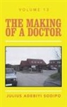 Julius Adebiyi Sodipo - The Making of a Doctor