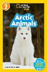 Jennifer Szymanski - Arctic Animals