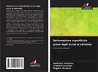 Bogdan Mordyuk, Mykhaylo Vasylyev, Svitlana Voloshko - Deformazione superficiale grave degli acciai al carbonio
