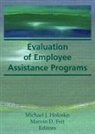 Marvin D Feit, Michael J Holosko - Evaluation of Employee Assistance Programs