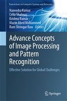 Mazin Abed Mohammed, Krishna Kumar, Narendra Kumar, Krishna Kumar et al, Ram Shringar Raw, Celi Shahnaz... - Advance Concepts of Image Processing and Pattern Recognition