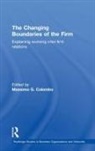 Massimo G Colombo - The Changing Boundaries of the Firm