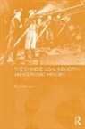 Elspeth Thomson - The Chinese Coal Industry