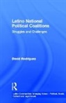 David Rodriguez, Rodriguez David - Latino National Political Coalitions
