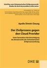 Apollo Dimitri Dauag - Der Zivilprozess gegen den Cloud Provider