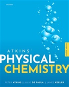 Peter Atkins, Peter (Fellow Atkins, Julio de Paula, Julio (Professor of Chemistry de Paula, James Keeler, James (Director of Teaching and Senior Tutor Keeler... - Atkins' Physical Chemistry