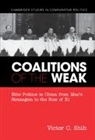 Victor Shih, Victor (University of California Shih, Victor C. Shih, Victor C. (University of California Shih, Shih Victor C., Shih Victor Shih - Coalitions of the Weak