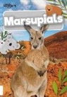 Madeline Tyler - Marsupials