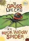 William Anthony - The Gross Life Cycle of a Black Widow Spider