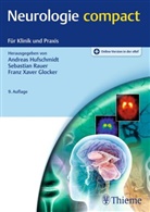 Franz Xaver Glocker, Andreas Hufschmidt, Sebastian Rauer, Franz Xaver Glocker - Neurologie compact