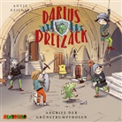 Antje Szillat, Erkki Hopf - Darius Dreizack (2), 2 Audio-CD (Audio book)