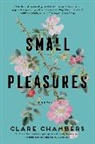 Clare Chambers - Small Pleasures