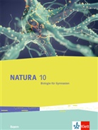 Julia Bauer, Fenja Hüttinger, Justine u Kiessling - Natura Biologie 10. Ausgabe Bayern