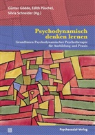 Annekathrin Bergner, Gabriele Dorrer-Karliova, Günter Gödde, Edith Püschel, Silvia Schneider - Psychodynamisch denken lernen
