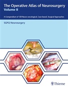 SGPGI Neurosurgery, SGPGI Neurosurgery - The Operative Atlas of Neurosurgery, Vol II