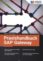 Johannes Gerbershagen - Praxishandbuch SAP Gateway