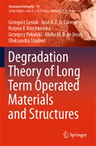 José A F Correia, José A F O Correia, José A. F. O. Correia, José A.F.O. Correia, Abílio M. P. de Jesus, Abílio M.P. de Jesus... - Degradation Theory of Long Term Operated Materials and Structures