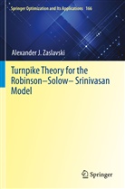 Alexander J Zaslavski, Alexander J. Zaslavski - Turnpike Theory for the Robinson-Solow-Srinivasan Model