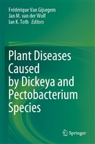 Frédérique van Gijsegem, Ian K Toth, Ja M van der Wolf, Jan M van der Wolf, Ian K. Toth, Jan M. van der Wolf... - Plant Diseases Caused by Dickeya and Pectobacterium Species