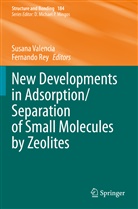 REY, Rey, Fernando Rey, Susan Valencia, Susana Valencia - New Developments in Adsorption/Separation of Small Molecules by Zeolites
