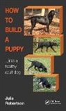 Galen Myotherapy, Julia Robertson, Julia (Galen Myotherapy Robertson, Julia (Galen Therapy Centre Robertson, Robertson Julia - How to Build a Puppy