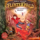 Andreas Suchanek - Flüsterwald - Der Schattenmeister erwacht. Tl.4, 1 Audio-CD (Livre audio)