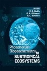 T MacVicar, George A. O'Connor, George A. O'Connor, K. Ramesh Reddy, Reddy K. Ramesh, C. L. Schelske - Phosphorus Biogeochemistry of Sub-Tropical Ecosystems