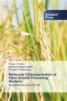 Prakash K. Karegoudru, Pavan J. Kundur, Santhosh Bullapura Matt - Molecular Characterization of Plant Growth Promoting Bacteria