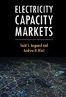 Todd S. Aagaard, Todd S. Kleit Aagaard, Andrew N. Kleit, Kleit Andrew N. - Electricity Capacity Markets