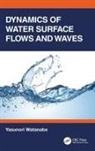 Yasunori Watanabe, Yasunori (Hokkaido University Watanabe, Watanabe Yasunori - Dynamics of Water Surface Flows and Waves