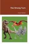 Hassan Rasheed - The Wrong Turn