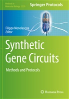 Filipp Menolascina, Filippo Menolascina - Synthetic Gene Circuits