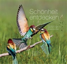 Martin Sinzinger - Schönheit entdecken