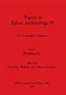 Caroline Malone, Simon Stoddart - Papers in Italian Archaeology IV