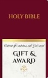 National Council of Churches, National Council of Churches - NRSV Updated Edition Gift & Award Bible (Imitation Leather, Burgundy)