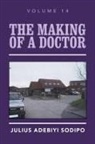 Julius Adebiyi Sodipo - The Making of a Doctor