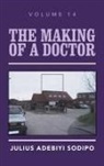 Julius Adebiyi Sodipo - The Making of a Doctor