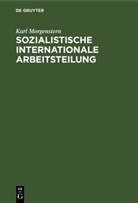Karl Morgenstern - Sozialistische internationale Arbeitsteilung