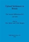 Colin Burgess, Don Spratt - Upland Settlement in Britain